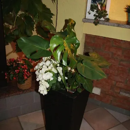 Sto Homestay